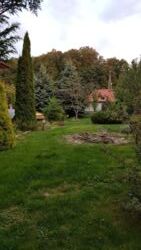 Продається будинок Тернопільська, Тернопільський, Петриків фото 11 Продається будинок Тернопільська, Тернопільський, Петриків фото 11