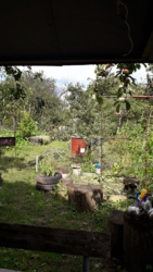 Продається будинок Тернопільська, Тернопільський, Смиківці фото 6 Продається будинок Тернопільська, Тернопільський, Смиківці фото 6