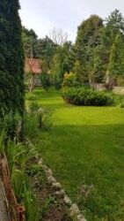 Продається будинок Тернопільська, Тернопільський, Петриків фото 12 Продається будинок Тернопільська, Тернопільський, Петриків фото 12