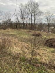 Продається будинок Тернопільська, Зборівський, Залізці, вул.шухевича фото 2 Продається будинок Тернопільська, Зборівський, Залізці, вул.шухевича фото 2