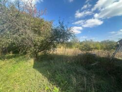 Продається будинок Тернопільська, Тернопільський, Буцнів, Ватрівські дачі фото 8 Продається будинок Тернопільська, Тернопільський, Буцнів, Ватрівські дачі фото 8