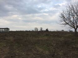 Продається будинок Тернопільська, Зборівський, Озерна фото 5 Продається будинок Тернопільська, Зборівський, Озерна фото 5