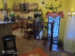 Продається будинок Тернопільська, Тернопільський, Підгороднє фото 4 Продається будинок Тернопільська, Тернопільський, Підгороднє фото 4