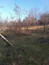 Продається будинок Тернопільська, Тернопільський, Підгороднє фото 7 Продається будинок Тернопільська, Тернопільський, Підгороднє фото 7