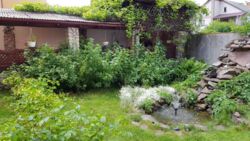 Продається будинок Тернопільська, Тернопільський, Петриків фото 8 Продається будинок Тернопільська, Тернопільський, Петриків фото 8