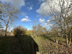 Продається будинок Розношинці, Збаразький, Тернопільська фото 16 Продається будинок Розношинці, Збаразький, Тернопільська фото 16