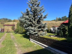 ��������� �������� ������������� ��������� ������� �� ������� ������� �������� ���� 19