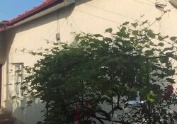 Продається будинок Тернопільська, Теребовлянський, Конопківка фото 8 Продається будинок Тернопільська, Теребовлянський, Конопківка фото 8