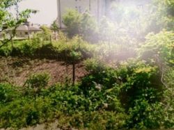 Продається будинок Тернопільська, Тернопіль, Центр фото 4 Продається будинок Тернопільська, Тернопіль, Центр фото 4