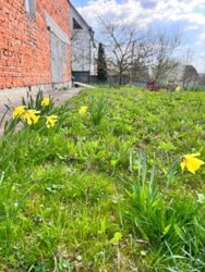 Продається будинок Тернопільська, Тернопільський, Чистилов фото 8 Продається будинок Тернопільська, Тернопільський, Чистилов фото 8