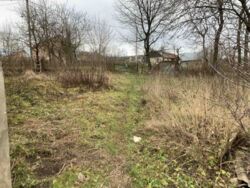 Продається будинок Тернопільська, Зборівський, Залізці, вул.шухевича фото 9 Продається будинок Тернопільська, Зборівський, Залізці, вул.шухевича фото 9