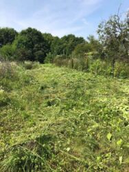 Продається будинок Тернопільська, Тернопільський, Романівка фото 3 Продається будинок Тернопільська, Тернопільський, Романівка фото 3