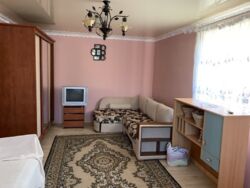 Продається будинок Тернопільська, Тернопільський, Великі Бірки, Надія фото 7 Продається будинок Тернопільська, Тернопільський, Великі Бірки, Надія фото 7