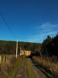 ��������� ������� ������ �������, �������������, ������������ ���� 14