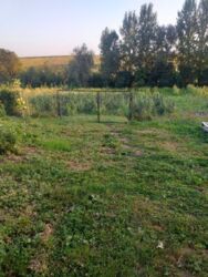 Продається будинок Стрыївка, Збаразький, Тернопільська фото 16 Продається будинок Стрыївка, Збаразький, Тернопільська фото 16