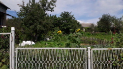 Продається будинок Тернопільська, Тернопільський, Смиківці фото 3 Продається будинок Тернопільська, Тернопільський, Смиківці фото 3