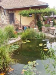 Продається будинок Тернопільська, Тернопільський, Петриків фото 3 Продається будинок Тернопільська, Тернопільський, Петриків фото 3