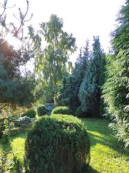 Продається будинок Тернопільська, Підволочиський, Підволочиськ фото 17 Продається будинок Тернопільська, Підволочиський, Підволочиськ фото 17