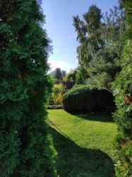 Продається будинок Тернопільська, Підволочиський, Підволочиськ фото 18 Продається будинок Тернопільська, Підволочиський, Підволочиськ фото 18