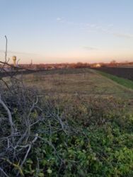 Продається будинок Тернопільська, Зборівський, Озерна фото 2 Продається будинок Тернопільська, Зборівський, Озерна фото 2