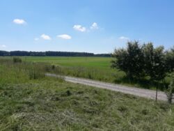 Продається будинок Тернопільська, Теребовлянський, Дружба фото 8 Продається будинок Тернопільська, Теребовлянський, Дружба фото 8