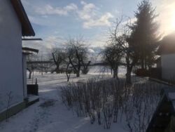 Продається будинок Тернопільська, Збаразький, Колодне фото 3 Продається будинок Тернопільська, Збаразький, Колодне фото 3