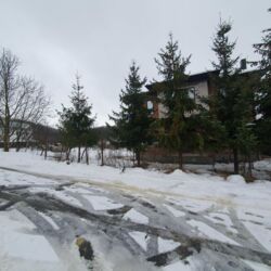 Продається будинок Тернопільська, Тернопільський, Підгороднє, Київська фото 10 Продається будинок Тернопільська, Тернопільський, Підгороднє, Київська фото 10