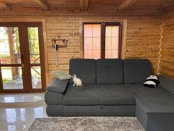 ��������� �������� ������������� ��������� ������� �� ������� ������� �������� ���� 10