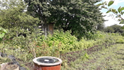 Продається будинок Тернопільська, Тернопільський, Смиківці фото 7 Продається будинок Тернопільська, Тернопільський, Смиківці фото 7