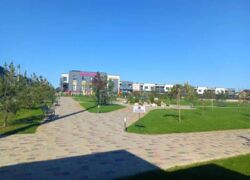 Продається будинок Тернопільська, Тернопільський, Гаї Ходорівські фото 5 Продається будинок Тернопільська, Тернопільський, Гаї Ходорівські фото 5