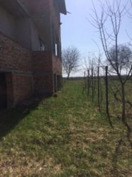 Продається будинок Тернопільська, Тернопільський, Велика Березовиця фото 4 Продається будинок Тернопільська, Тернопільський, Велика Березовиця фото 4