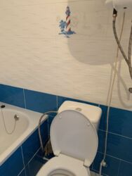 Продається будинок Тернопільська, Тернопільський, Великі Бірки, Надія фото 17 Продається будинок Тернопільська, Тернопільський, Великі Бірки, Надія фото 17