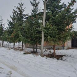 Продається будинок Тернопільська, Тернопільський, Підгороднє, Київська фото 7 Продається будинок Тернопільська, Тернопільський, Підгороднє, Київська фото 7