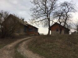 Продається будинок Тернопільська, Зборівський, Озерна фото 4 Продається будинок Тернопільська, Зборівський, Озерна фото 4