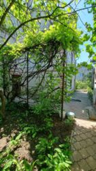 Продається будинок Тернопільська, Тернопільський, Смиківці фото 9 Продається будинок Тернопільська, Тернопільський, Смиківці фото 9