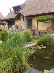 Продається будинок Тернопільська, Тернопільський, Петриків фото 1 Продається будинок Тернопільська, Тернопільський, Петриків фото 1