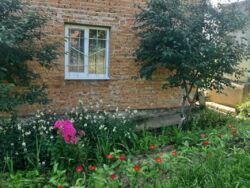 Продається будинок Тернопільська, Тернопільський, Великі Бірки, Надія фото 3 Продається будинок Тернопільська, Тернопільський, Великі Бірки, Надія фото 3