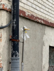 Продається будинок Підгороднє, Тернопільський, Тернопільська фото 5 Продається будинок Підгороднє, Тернопільський, Тернопільська фото 5