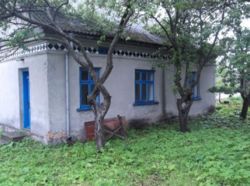 Продається будинок Тернопільська, Зборівський, Кокутковцы фото 3 Продається будинок Тернопільська, Зборівський, Кокутковцы фото 3