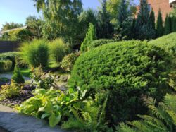 Продається будинок Тернопільська, Підволочиський, Підволочиськ фото 16 Продається будинок Тернопільська, Підволочиський, Підволочиськ фото 16