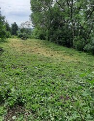 ��������� ������� ����� �����, �������������, ������������ ���� 5