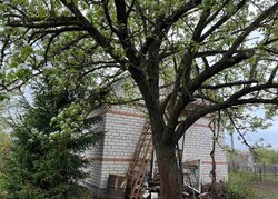 Продається будинок Тернопільська, Тернопільський, Смиківці, Пролісок фото 2 Продається будинок Тернопільська, Тернопільський, Смиківці, Пролісок фото 2