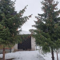 Продається будинок Тернопільська, Тернопільський, Підгороднє, Київська фото 6 Продається будинок Тернопільська, Тернопільський, Підгороднє, Київська фото 6