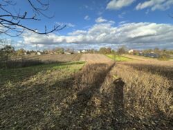 Продається будинок Розношинці, Збаразький, Тернопільська фото 13 Продається будинок Розношинці, Збаразький, Тернопільська фото 13