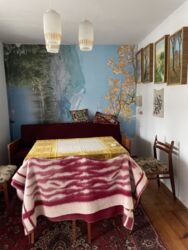 Продається будинок Тернопільська, Тернопільський, Великі Бірки, Енергетик 1 фото 20 Продається будинок Тернопільська, Тернопільський, Великі Бірки, Енергетик 1 фото 20