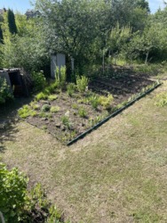 Продається будинок Тернопільська, Тернопільський, Івачів Горішній фото 6 Продається будинок Тернопільська, Тернопільський, Івачів Горішній фото 6