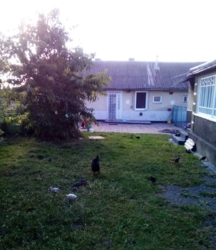 Продається будинок Тернопільська, Тернопільський, Красівка фото 4 Продається будинок Тернопільська, Тернопільський, Красівка фото 4