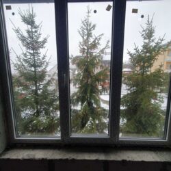 Продається будинок Тернопільська, Тернопільський, Підгороднє, Київська фото 20 Продається будинок Тернопільська, Тернопільський, Підгороднє, Київська фото 20