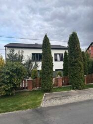 Продається будинок Тернопільська, Тернопільський, Підгороднє фото 5 Продається будинок Тернопільська, Тернопільський, Підгороднє фото 5