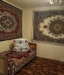 Продається будинок Тернопільська, Збаразький, Олишківці фото 16 Продається будинок Тернопільська, Збаразький, Олишківці фото 16